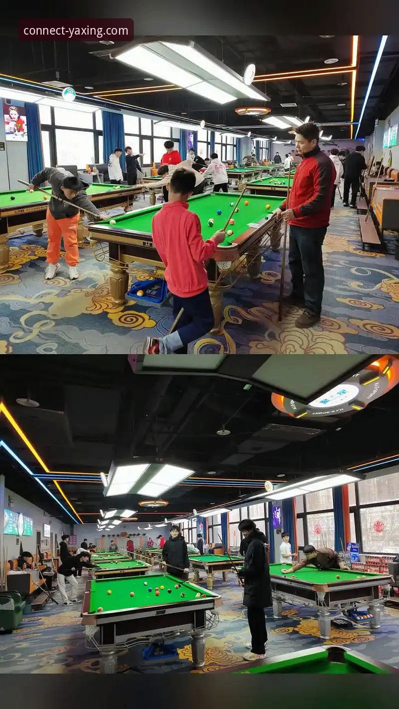 亚星体育平台实用指南：全方位评测官网访问与使用体验