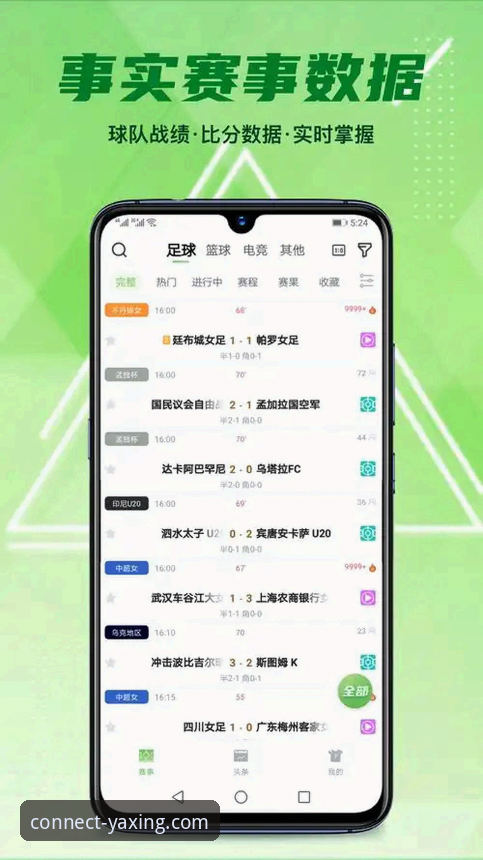 资深用户吴启航的亚星体育平台应用下载与使用全解析